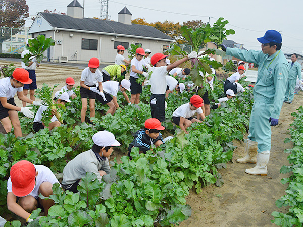 小学校への食農教育