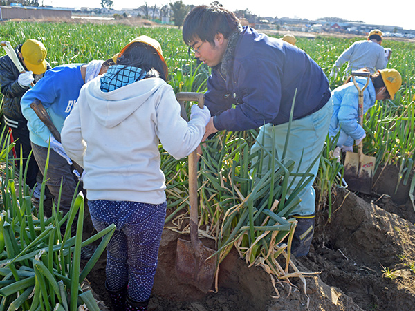 小学校への食農教育