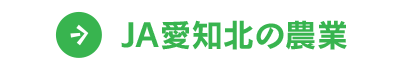 ＪＡ愛知北の農業