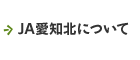 ＪＡ愛知北について