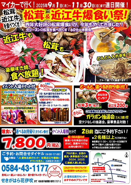 チラシ