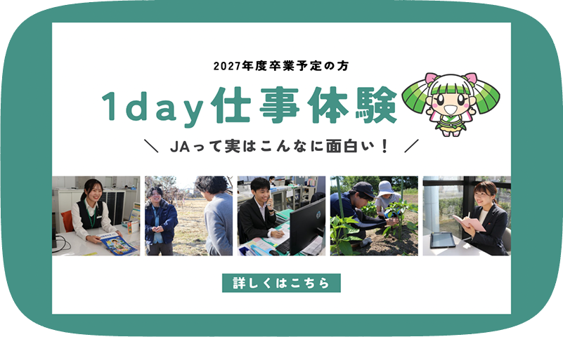 1day齟齬と体験