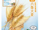 コミュニティ情報誌「ふれあい」2016年7月号を掲載しました