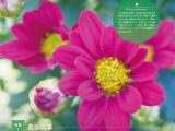 広報誌「すまいる」2016年11月号を掲載しました