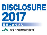 2017年ディスクロージャーを更新しました