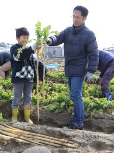 守口大根の収穫体験を開催「収穫する参加者」3