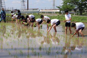 犬山東小田植え1