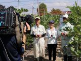 CCNet春日井局「やさいのミカタ」収録を行いました