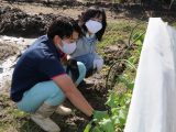 農業塾「家庭菜園コース」収穫をしました