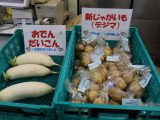 産直センター岩倉店「岩倉市立東小学校　秋冬野菜店頭販売」