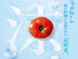 コミュニティ情報誌「ふれあい」Vol27（2022年夏号）を掲載しました