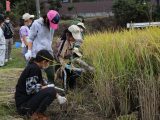 犬山市子ども大学第７講座「稲刈り体験」