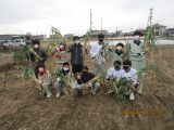 江南西部中「越津ねぎ」の収穫体験