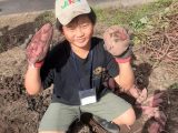 犬山市子ども大学　第５講座「サツマイモ収穫体験」