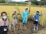犬山市子ども大学 第６講座「稲刈り体験」