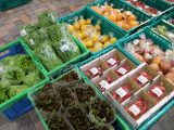 【毎週火曜日】江南厚生病院朝市 開催中